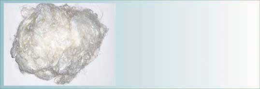Staple fibers of milk protein fiber