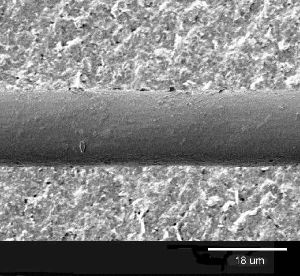 microscopic picture of polyester