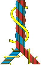 multiple twisted yarn